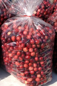 bags-of-cranberries